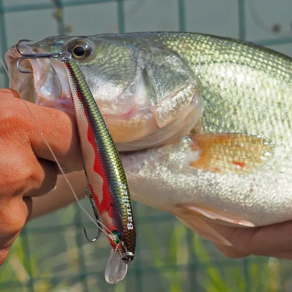Banshee Minnow 100mm 16g Jerkbait Fishing Lure Pike for Wobbler for Trolling Stick Bait Hard Artificial Baits Pesca Lure - Image 3