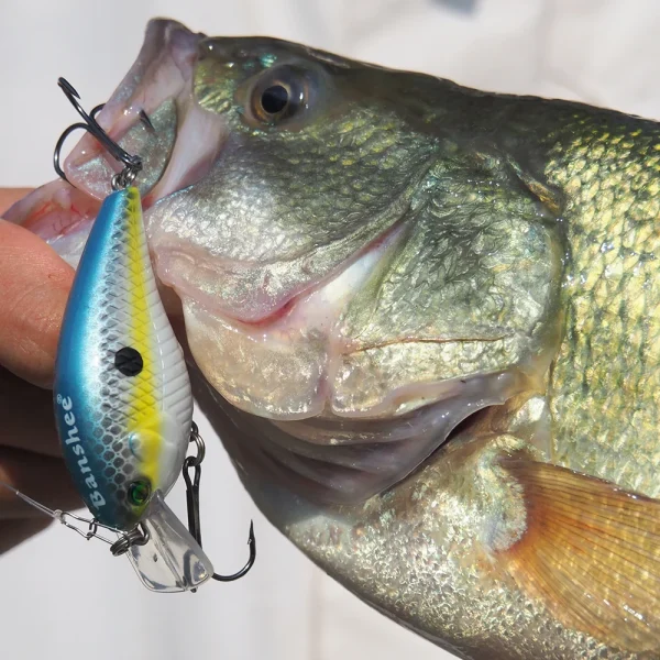 Squarebill Crankbaits 60mm 12g Square Bill Crankbaits Floating Crank Bait Rattling Fishing Lures - Image 6