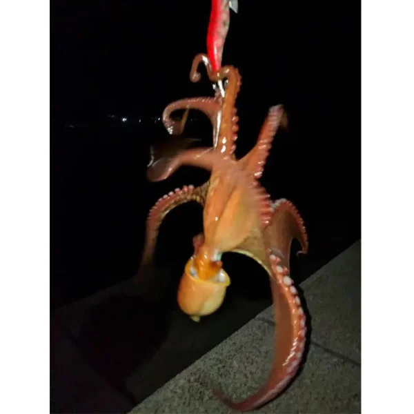 10Pcs/Box Squid Jigs hook Wood Shrimp 12g-21g Fishing bait squid hooks luminous Prawn Octopus lure Cuttlefish with Plastic box - Image 5