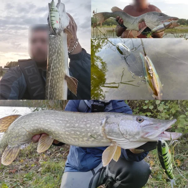 Swimbait Big Fishing Lure Artificial Hard Bait 135mm 160mm Jointed Fishing Lure for Predator Wobbler Minnow Pike - Image 6