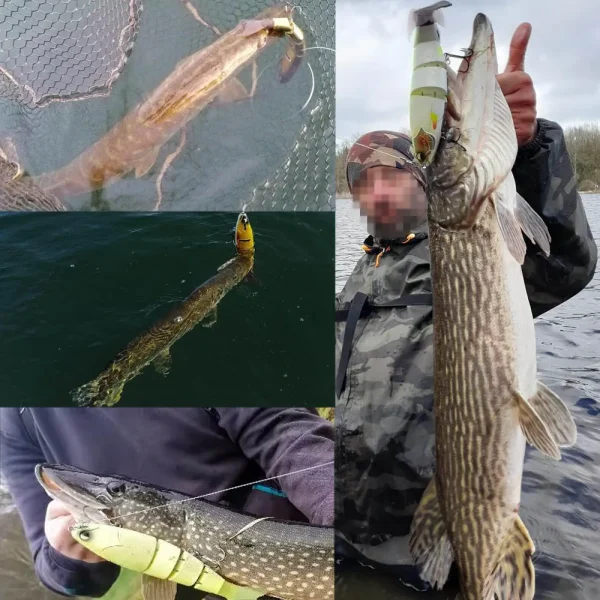 Swimming Bait Jointed Fishing Lure Floating Hard bait with Jerk Fishing Lure For Big Bait Bass Pike Minnow Lure High Quality - Image 6