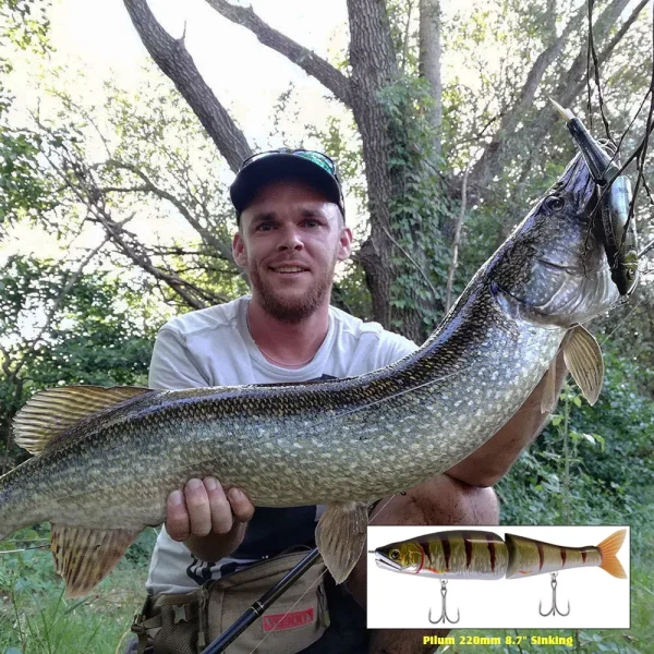 Swimbait Floating Slow Sinking 220mm Big Bass Fishing Jointed Baits Slide Lures For Pike Musky Perch - Image 6