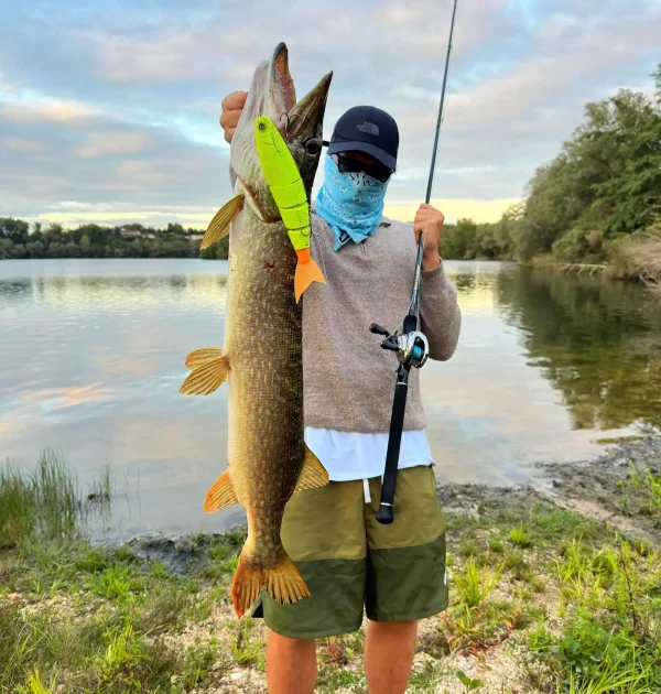 Swimbait Lure Jointed Floating Giant Bait Balam 245 Floating Lure For Big Bait Bass Catfish Hard Lure GiantBait Balam245 lure - Image 6