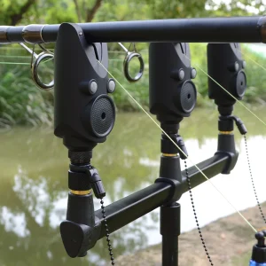 Carp fishing