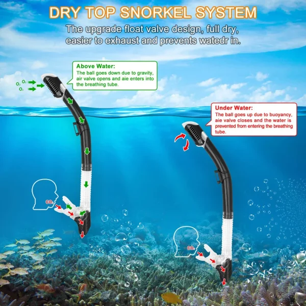 Scuba Diving Mask Snorkel Set For Adults Tempered Glass Professional Panoramic Snorkeling Gear Swimming Training Snorkel Kit - Image 4